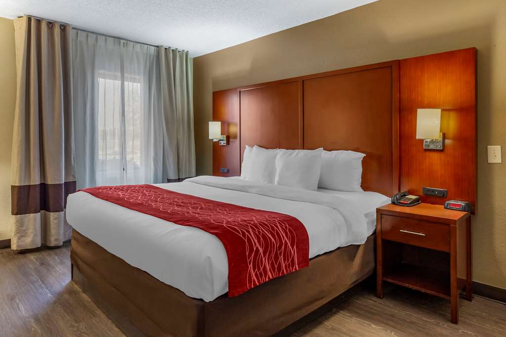 COMFORT INN FORT MILL AMUSEMENT PAR-guestroom-Guest Room,On-Site.jpg