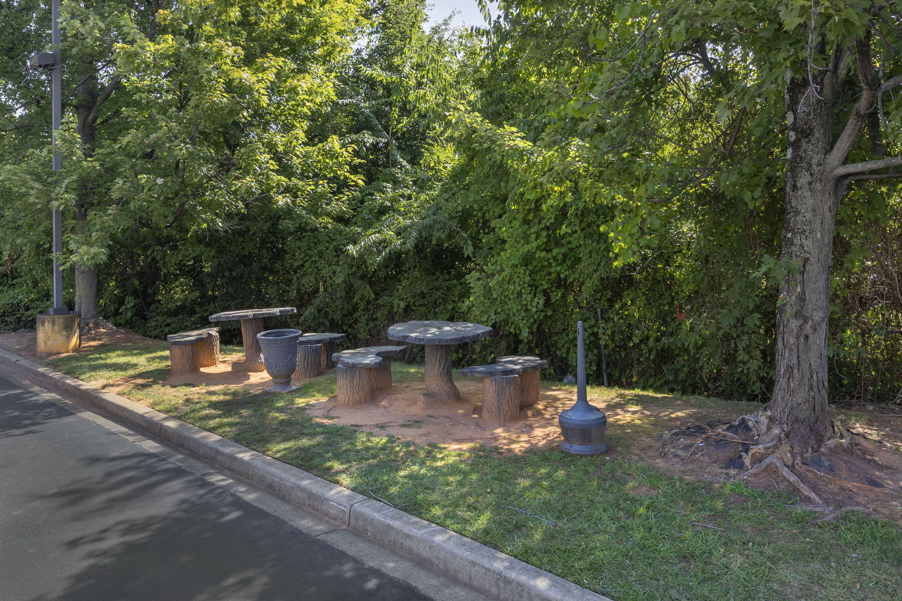 Picnic area | Econo Lodge Inn and Suites Greenville