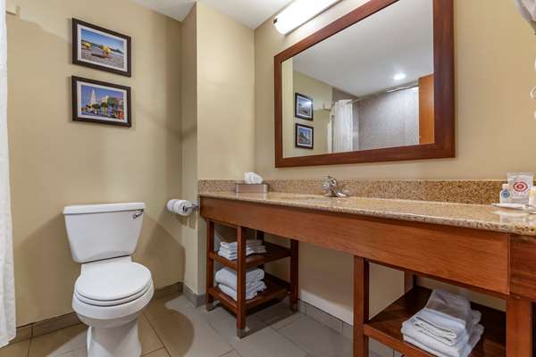  - Comfort Inn & Suites Orangeburg - I-26, Exit 145