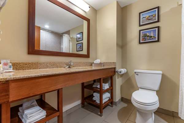  - Comfort Inn & Suites Orangeburg - I-26, Exit 145