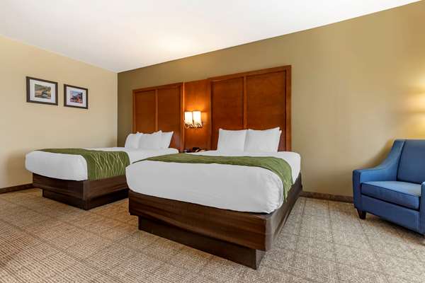  - Comfort Inn & Suites Orangeburg - I-26, Exit 145