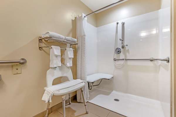 - Comfort Inn & Suites Orangeburg - I-26, Exit 145
