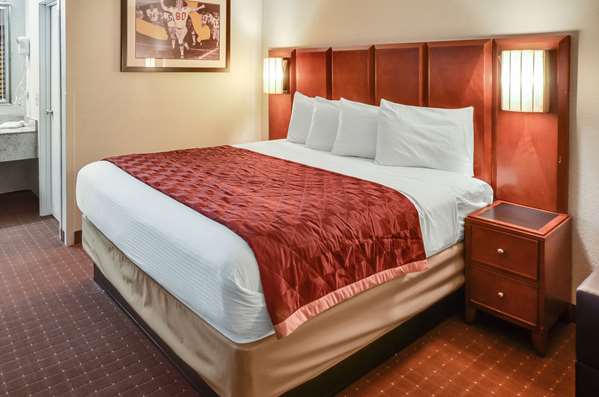 Suite - Rodeway Inn North Charleston - I-26, Exit 209