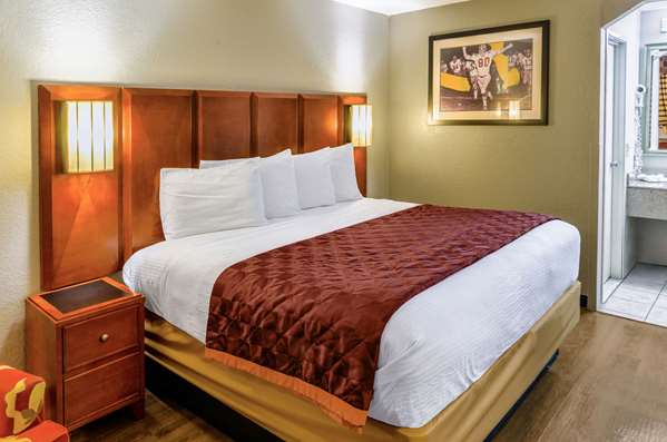  - Rodeway Inn North Charleston - I-26, Exit 209