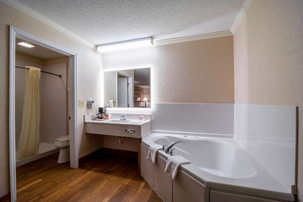Suite - Econo Lodge Inn & Suites Cayce - I-26, Exit 113