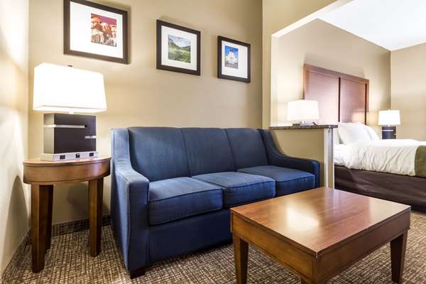  - Comfort Suites Sioux Falls - I-29, Exit 77