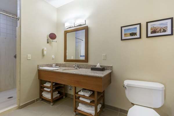 Suite - Comfort Inn & Suites Rapid City