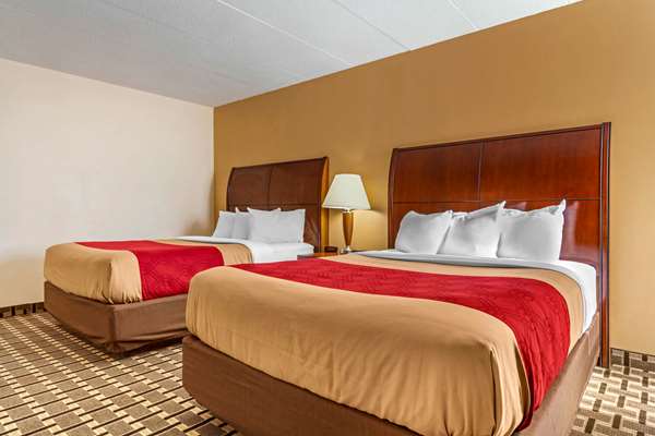 Suite - Econo Lodge Inn & Suites Brookings - I-29, Exit 132