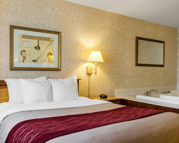 Suite - Quality Inn Brandon - I-90, Exit 406