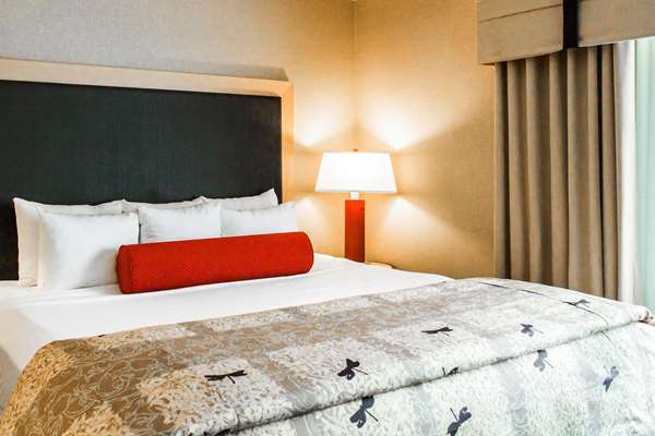  - Cambria Hotel Rapid City - I-90, Exit 61