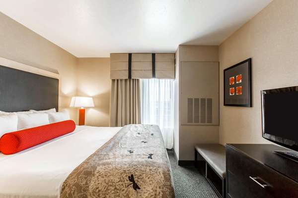 Suite - Cambria Hotel Rapid City - I-90, Exit 61