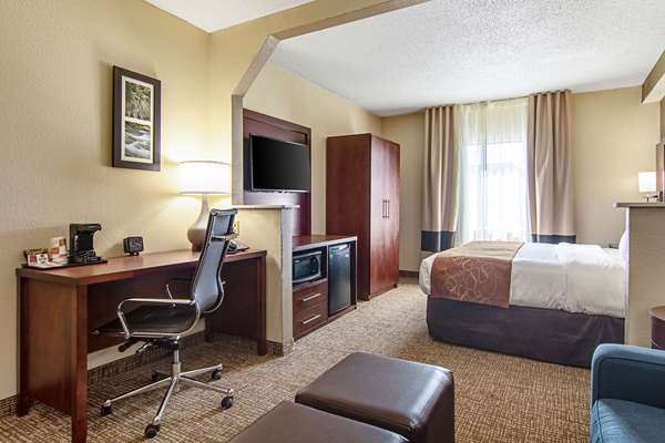 Suite - Comfort Suites Knoxville Airport Alcoa