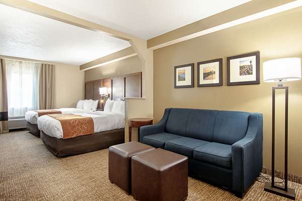 Suite - Comfort Suites Knoxville Airport Alcoa
