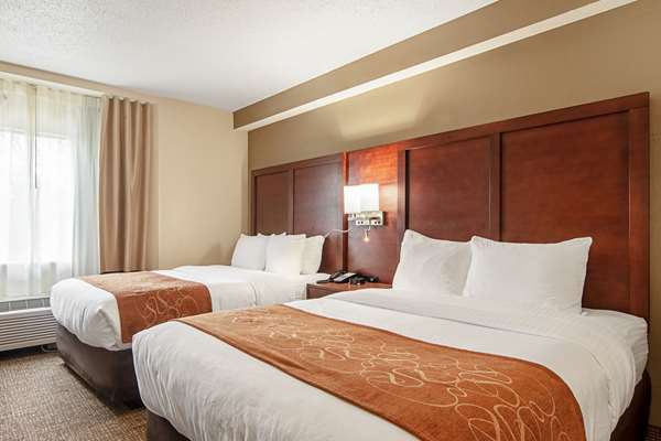Suite - Comfort Suites Knoxville Airport Alcoa