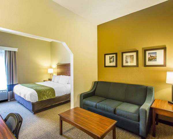 Suite - Comfort Suites Cookeville - I-40, Exit 287
