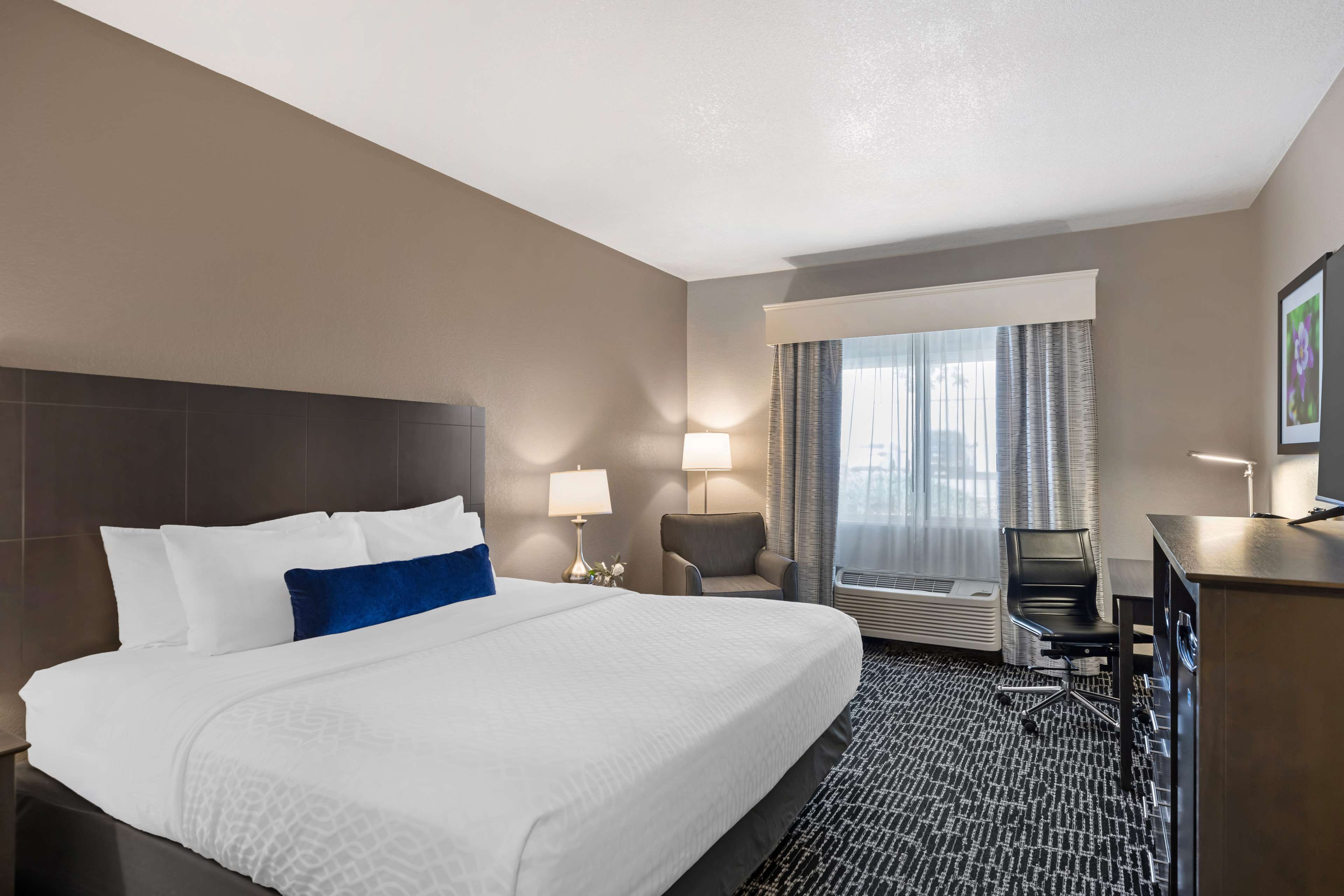 Best Western Greeley Room Type - Accessible - 1 King, Mobility Accessible, Roll In Shower, Microwave And Refrigerator, Non-Smoking, F Best Western Greeley Room Type - Accessible - 1 King, Mobility Accessible, Roll In Shower, Microwave And Refrigerator, Non-Smoking, F