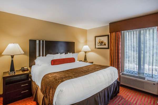 Suite - Quality Suites Airport Nashville - I-40, Exit 216