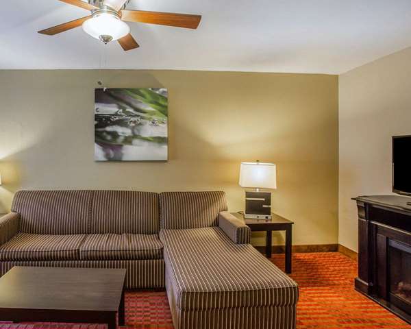 Suite - Quality Suites Airport Nashville - I-40, Exit 216