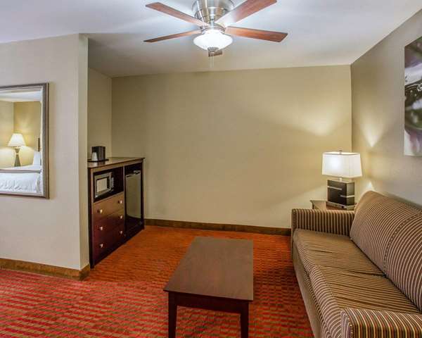 Suite - Quality Suites Airport Nashville - I-40, Exit 216