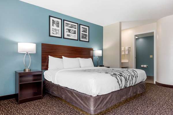 Suite - Sleep Inn & Suites Johnson City - I-26, Exit 19