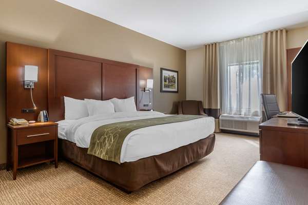 Suite - Comfort Suites Johnson City - I-26, Exit 19