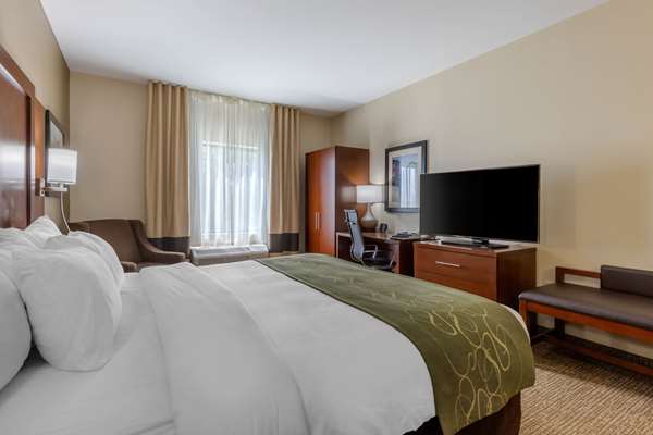 Suite - Comfort Suites Johnson City - I-26, Exit 19