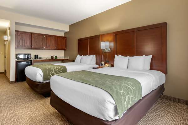 Suite - Comfort Suites Johnson City - I-26, Exit 19