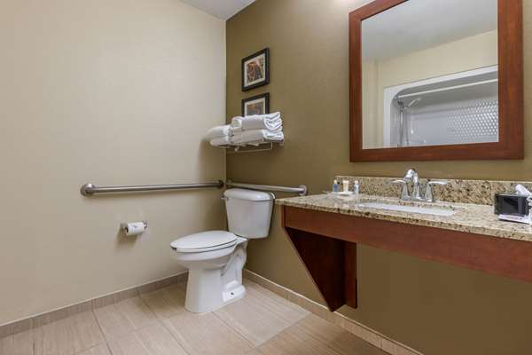 Suite - Comfort Suites Johnson City - I-26, Exit 19