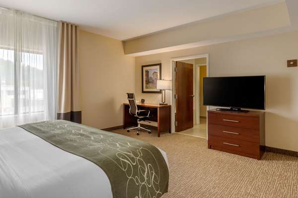 Suite - Comfort Suites Johnson City - I-26, Exit 19