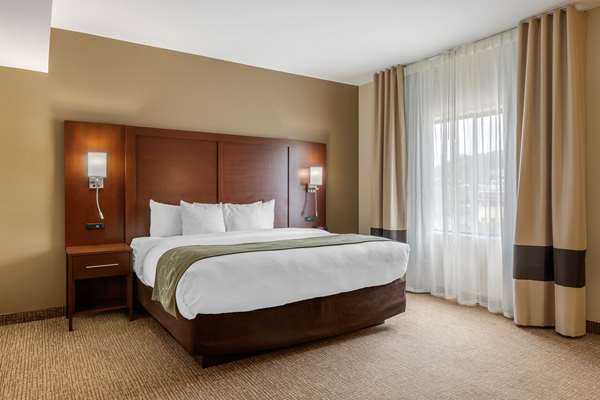 Suite - Comfort Suites Johnson City - I-26, Exit 19
