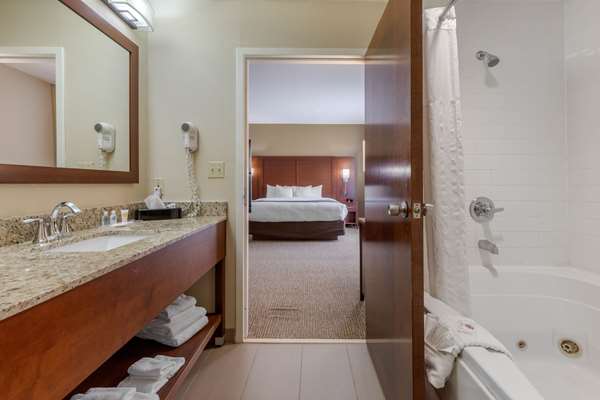 Suite - Comfort Suites Johnson City - I-26, Exit 19
