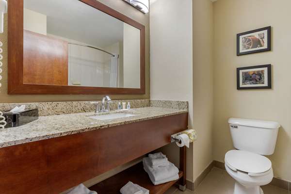 Suite - Comfort Suites Johnson City - I-26, Exit 19