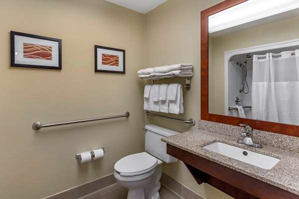 Suite - Comfort Suites Goodlettsville - I-65, Exit 96