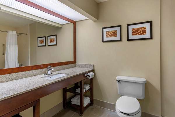 Suite - Comfort Suites Goodlettsville - I-65, Exit 96