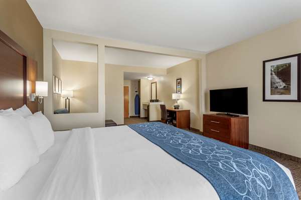 Suite - Comfort Suites Goodlettsville - I-65, Exit 96