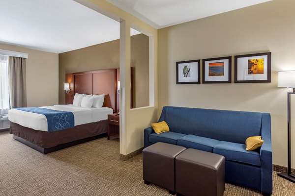Suite - Comfort Suites Goodlettsville - I-65, Exit 96