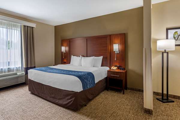 Suite - Comfort Suites Goodlettsville - I-65, Exit 96
