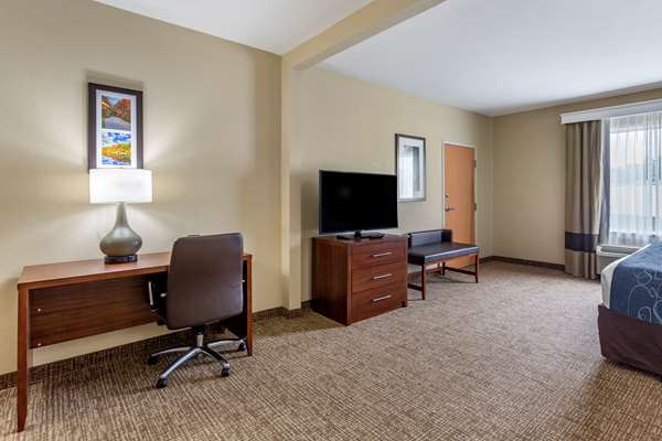 Suite - Comfort Suites Goodlettsville - I-65, Exit 96