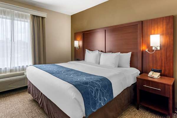 Suite - Comfort Suites Goodlettsville - I-65, Exit 96