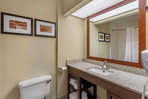 Suite - Comfort Suites Goodlettsville - I-65, Exit 96