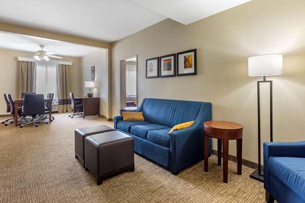 Suite - Comfort Suites Goodlettsville - I-65, Exit 96