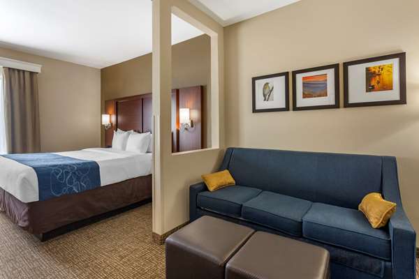 Suite - Comfort Suites Goodlettsville - I-65, Exit 96