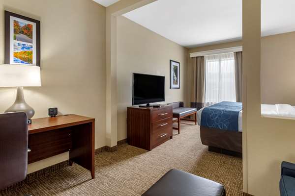 Suite - Comfort Suites Goodlettsville - I-65, Exit 96