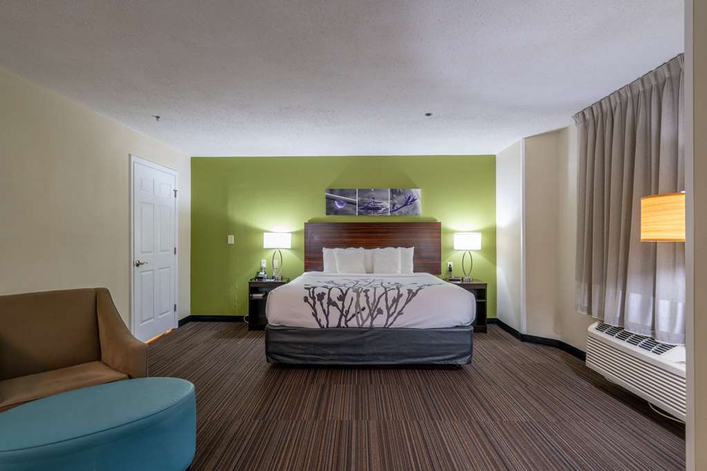SLEEP INN MURFREESBORO SHOPPING DIS-guestroom-Guest Room,Suite,On-Site.jpg