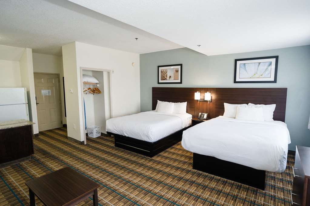 MAINSTAY SUITES KNOXVILLE AIRPORT-guestroom-Guest Room,On-Site.jpg