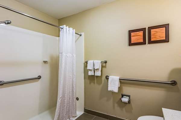 Suite - Comfort Inn & Suites Lookout Mountain Chattanooga - I-24, Exit 175