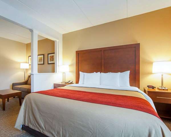 Suite - Comfort Inn Pioneer