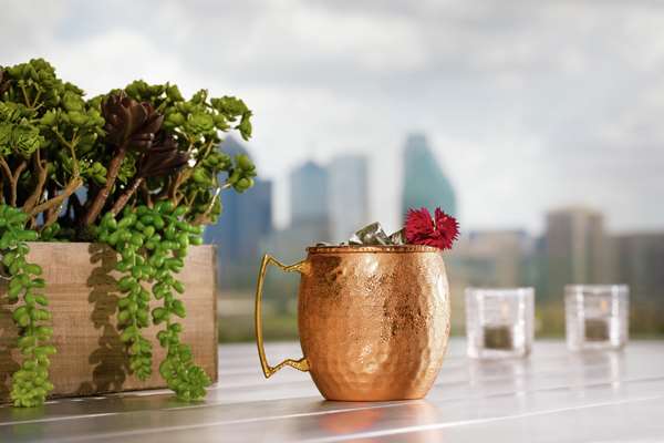 Restaurant - Canopy by Hilton Hotel Uptown Dallas