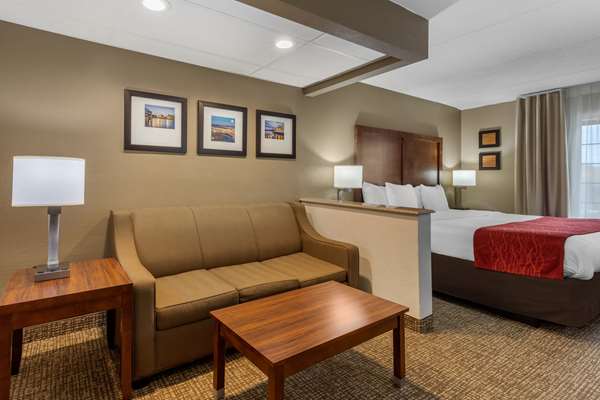 Suite - Comfort Inn & Suites Chattanooga - I-75, Exit 5