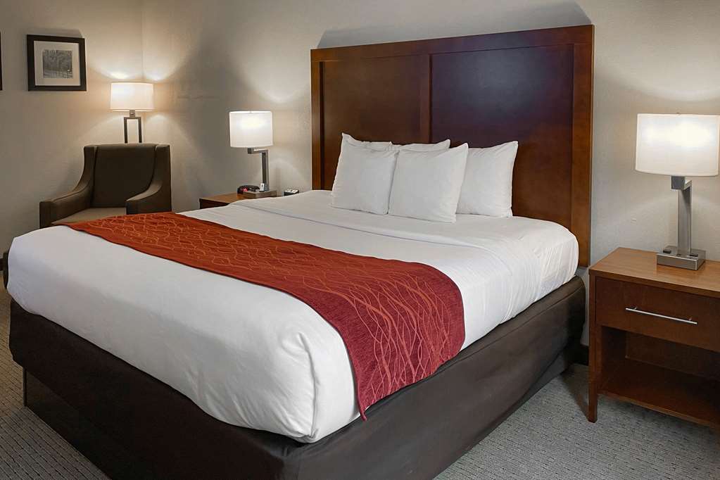 COMFORT INN AND SUITES ROGERSVILLE-guestroom-Guest Room,On-Site.jpg